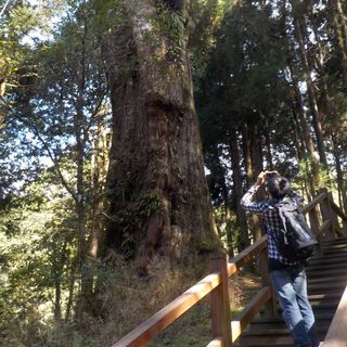 頭像