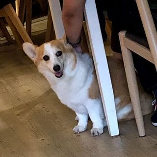 頭像