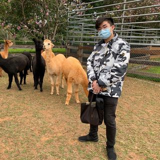 頭像