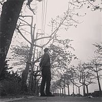 頭像