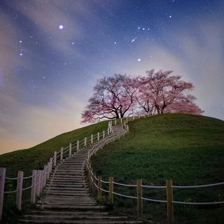 頭像