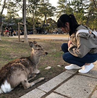 頭像