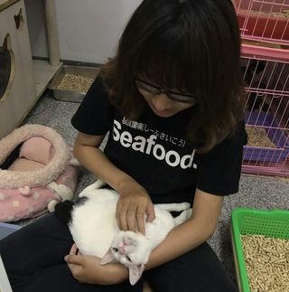 頭像