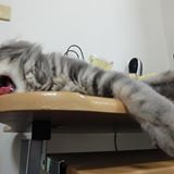 頭像