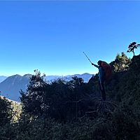 頭像