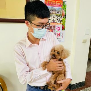 頭像