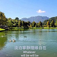 頭像