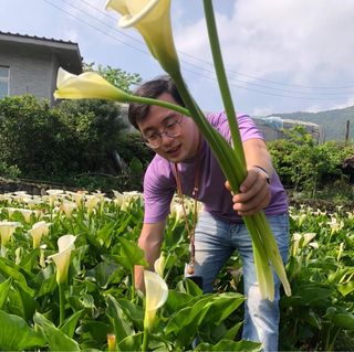 頭像