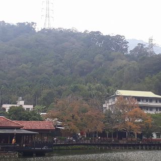 頭像