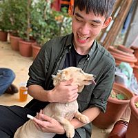 頭像