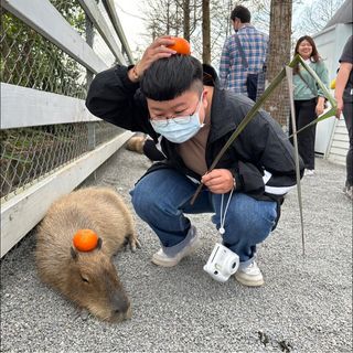 頭像