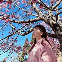 頭像