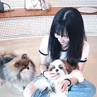 頭像