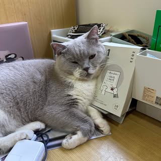 頭像