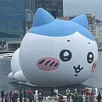 頭像