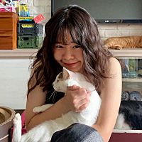 頭像