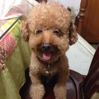 頭像