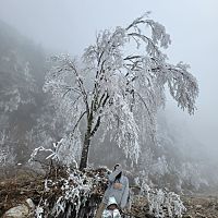頭像