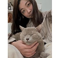 頭像