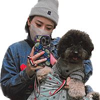 頭像