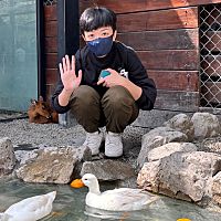 頭像