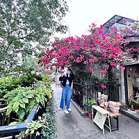 頭像