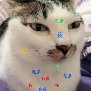 頭像