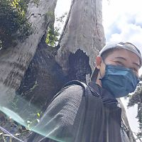頭像