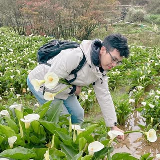 頭像