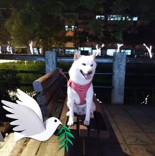 頭像