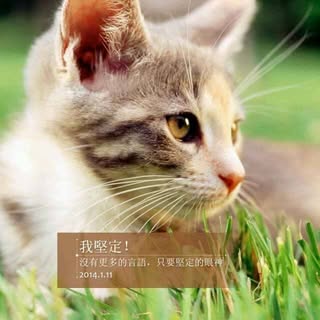頭像