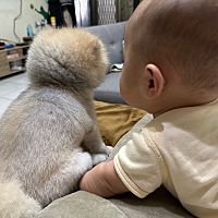 頭像