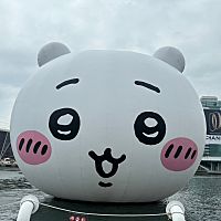 頭像