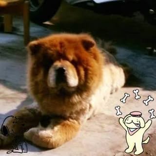 頭像