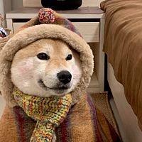 頭像