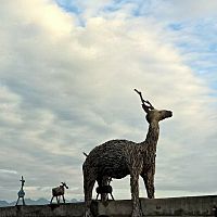 頭像