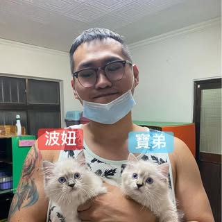 頭像