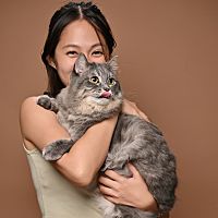 頭像