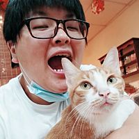 頭像