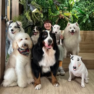 頭像
