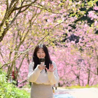 頭像