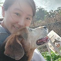 頭像