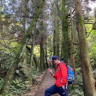 頭像