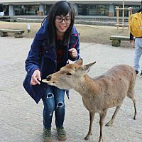 頭像