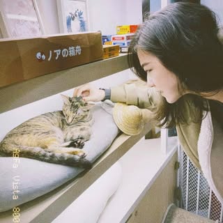 頭像