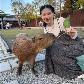 頭像