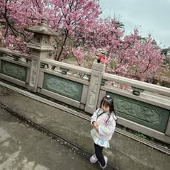 頭像