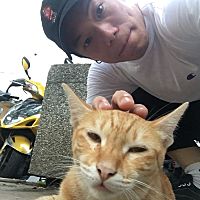 頭像