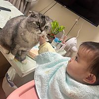頭像