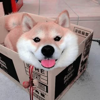 頭像